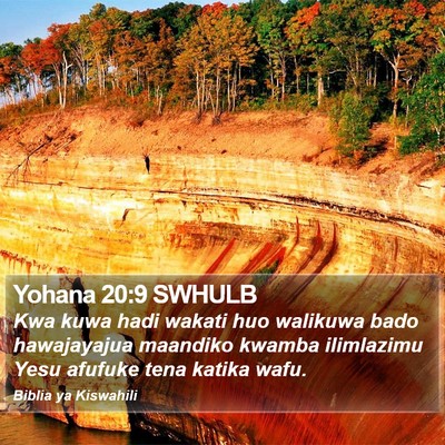 Yohana 20:9 SWHULB Bible Verse Image