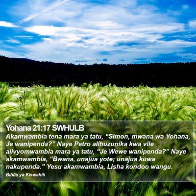 Yohana 21:17 SWHULB Bible Verse Image