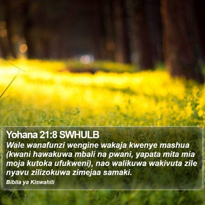 Yohana 21:8 SWHULB Bible Verse Image