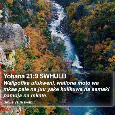 Yohana 21:9 SWHULB Bible Verse Image