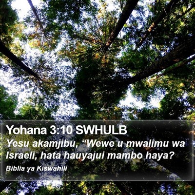 Yohana 3:10 SWHULB Bible Verse Image