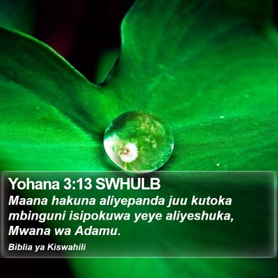 Yohana 3:13 SWHULB Bible Verse Image
