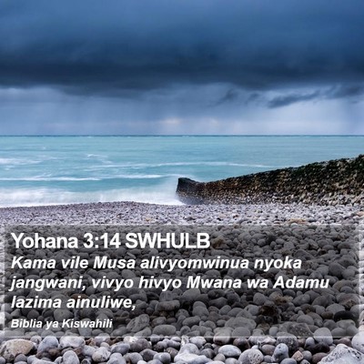 Yohana 3:14 SWHULB Bible Verse Image