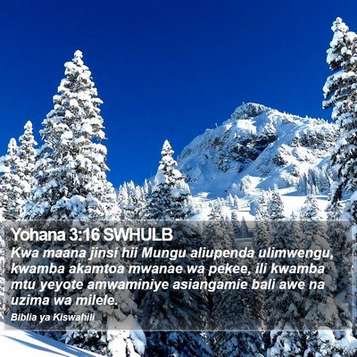 Yohana 3:16 SWHULB Bible Verse Image