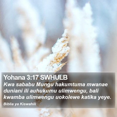 Yohana 3:17 SWHULB Bible Verse Image