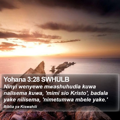 Yohana 3:28 SWHULB Bible Verse Image