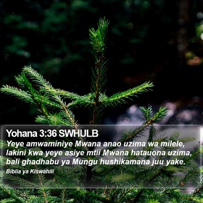Yohana 3:36 SWHULB Bible Verse Image