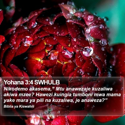 Yohana 3:4 SWHULB Bible Verse Image