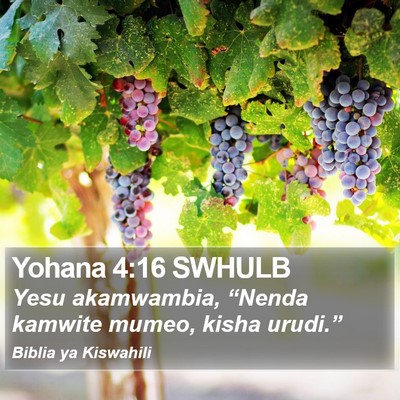 Yohana 4:16 SWHULB Bible Verse Image
