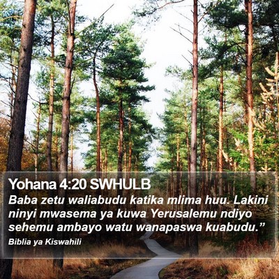 Yohana 4:20 SWHULB Bible Verse Image
