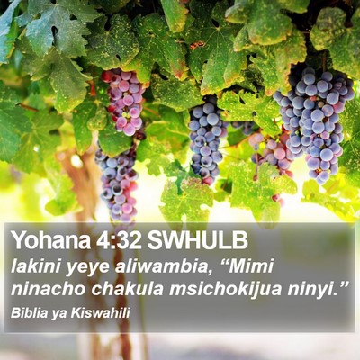 Yohana 4:32 SWHULB Bible Verse Image