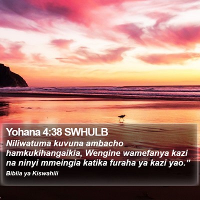 Yohana 4:38 SWHULB Bible Verse Image