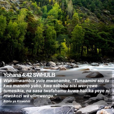 Yohana 4:42 SWHULB Bible Verse Image