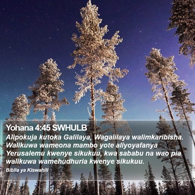 Yohana 4:45 SWHULB Bible Verse Image