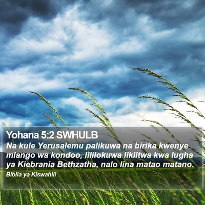 Yohana 5:2 SWHULB Bible Verse Image