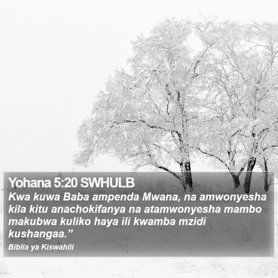 Yohana 5:20 SWHULB Bible Verse Image