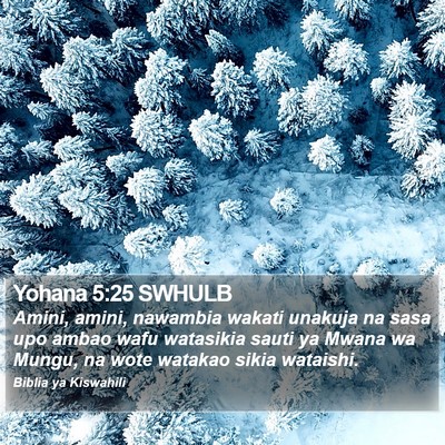 Yohana 5:25 SWHULB Bible Verse Image