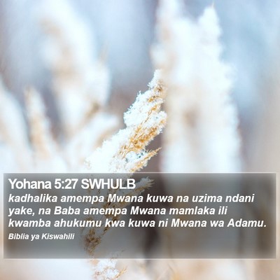 Yohana 5:27 SWHULB Bible Verse Image