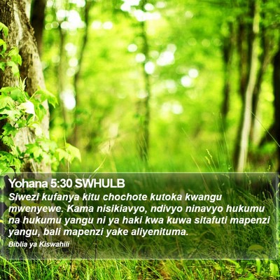 Yohana 5:30 SWHULB Bible Verse Image