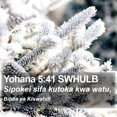 Yohana 5:41 SWHULB Bible Verse Image