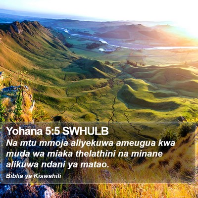 Yohana 5:5 SWHULB Bible Verse Image