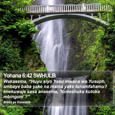 Yohana 6:42 SWHULB Bible Verse Image