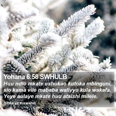 Yohana 6:58 SWHULB Bible Verse Image