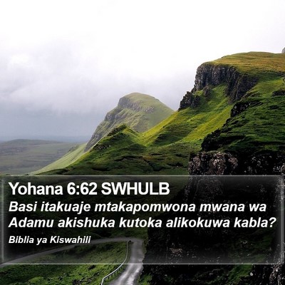 Yohana 6:62 SWHULB Bible Verse Image