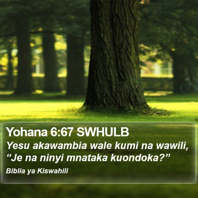 Yohana 6:67 SWHULB Bible Verse Image