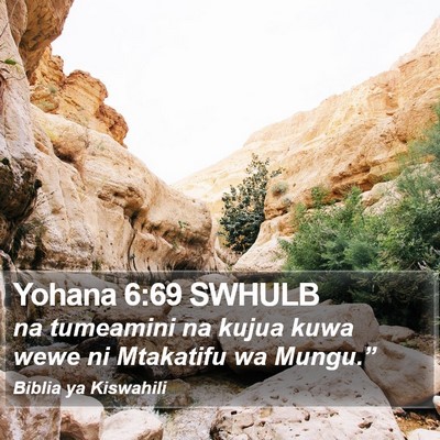 Yohana 6:69 SWHULB Bible Verse Image
