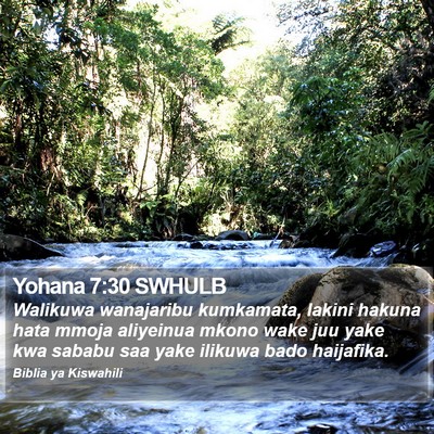 Yohana 7:30 SWHULB Bible Verse Image
