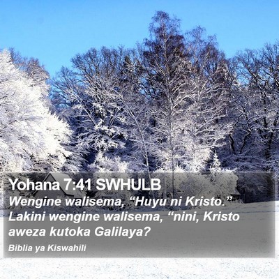 Yohana 7:41 SWHULB Bible Verse Image