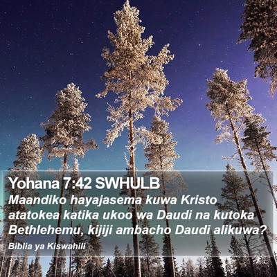 Yohana 7:42 SWHULB Bible Verse Image