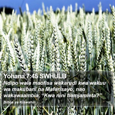 Yohana 7:45 SWHULB Bible Verse Image