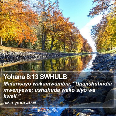 Yohana 8:13 SWHULB Bible Verse Image