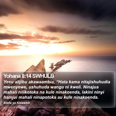 Yohana 8:14 SWHULB Bible Verse Image