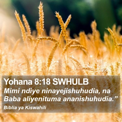 Yohana 8:18 SWHULB Bible Verse Image