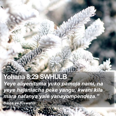 Yohana 8:29 SWHULB Bible Verse Image