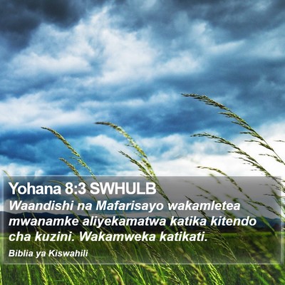 Yohana 8:3 SWHULB Bible Verse Image