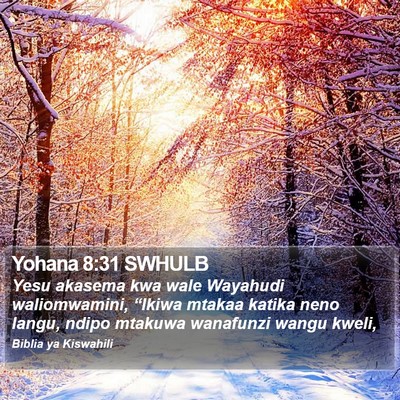 Yohana 8:31 SWHULB Bible Verse Image