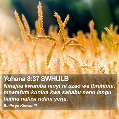 Yohana 8:37 SWHULB Bible Verse Image