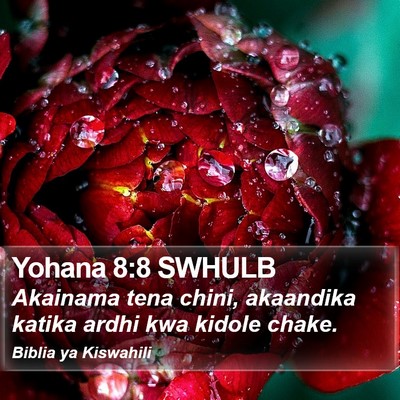 Yohana 8:8 SWHULB Bible Verse Image