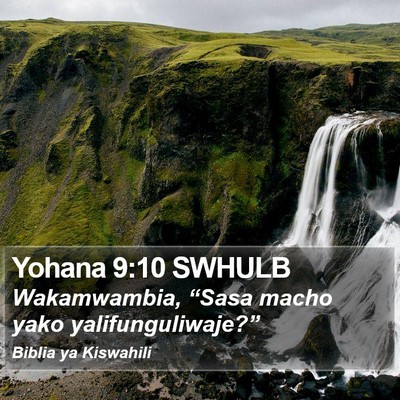 Yohana 9:10 SWHULB Bible Verse Image