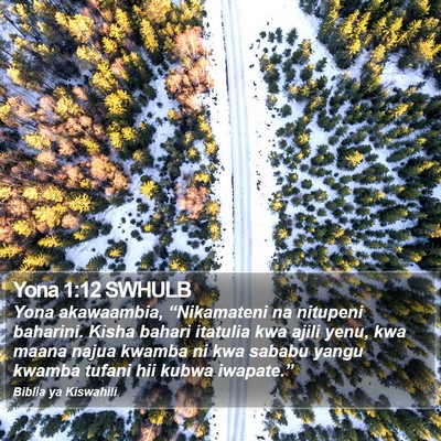 Yona 1:12 SWHULB Bible Verse Image