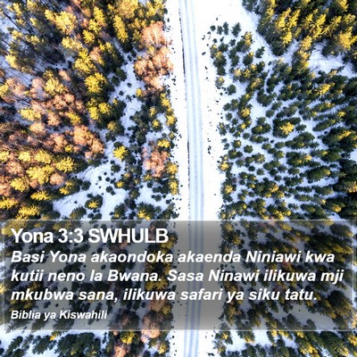 Yona 3:3 SWHULB Bible Verse Image