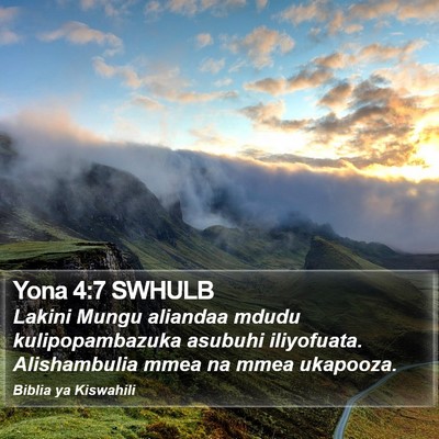 Yona 4:7 SWHULB Bible Verse Image