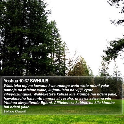 Yoshua 10:37 SWHULB Bible Verse Image