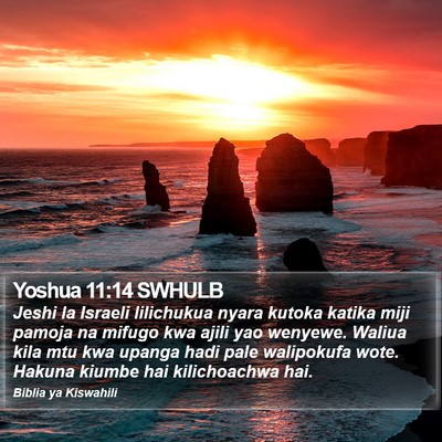 Yoshua 11:14 SWHULB Bible Verse Image