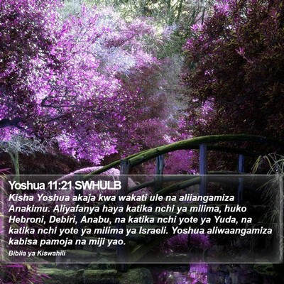 Yoshua 11:21 SWHULB Bible Verse Image
