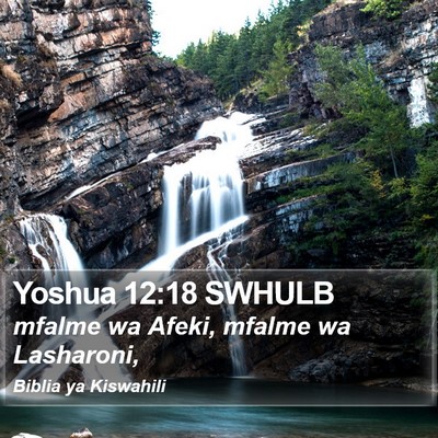 Yoshua 12:18 SWHULB Bible Verse Image